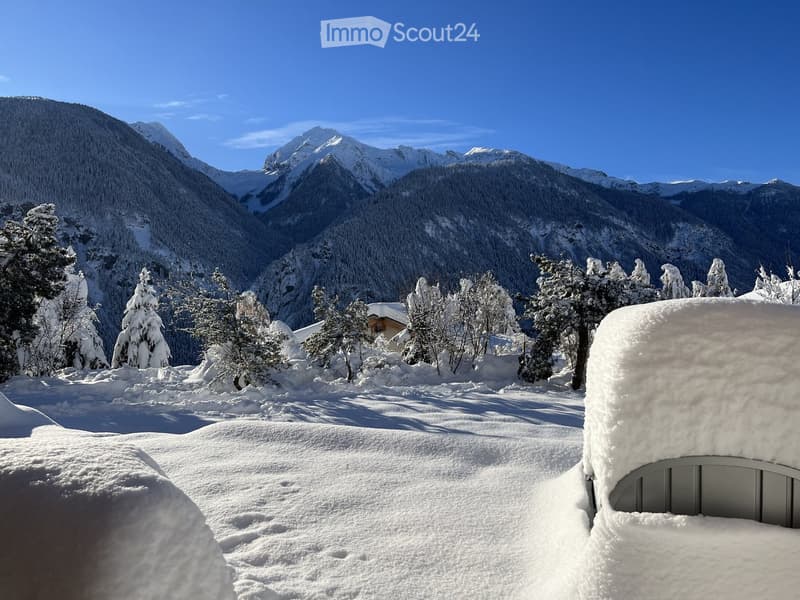 Snow-covered outdoor area with trees and mountains in the background, featuring a snow-covered car and a house partially visible behind the trees.