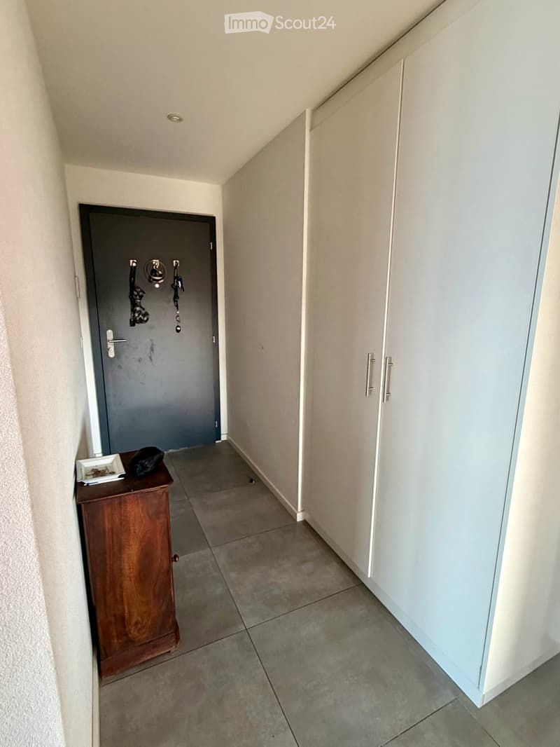 Reprise de bail - 2.5 pièces neuf 65.9m2 + terrasse 18.4m2 + cave + Place de parc, VUE LAC (16)