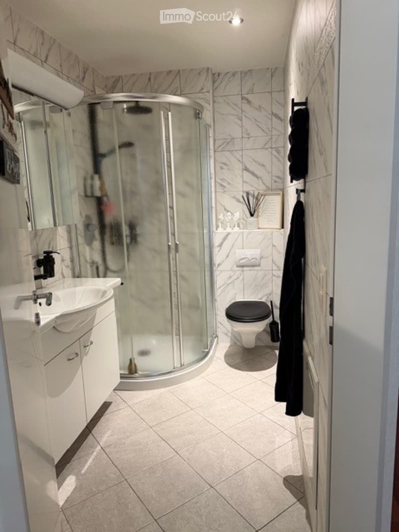 Modern bathroom with a white sink, mirror, glass-enclosed shower, toilet, and a black towel hanging on the wall.