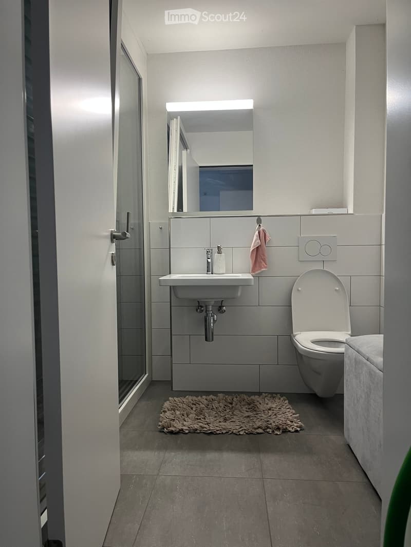 Modern bathroom with a white sink, toilet, mirror, and a small pink towel. The floor is tiled, and a fluffy rug is placed in front of the sink.