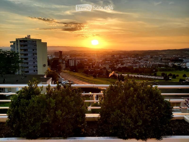 Balcony with a panoramic city view at sunset, featuring trimmed shrubs and a white railing.