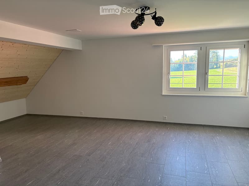 Empty room with wooden and tiled flooring, white walls, large windows showing a green outdoor view, and a modern ceiling light fixture.