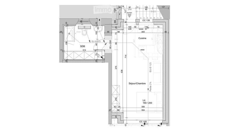 Floor plan of a residential space featuring a living room, bedroom, kitchen, bathroom, and entrance area.