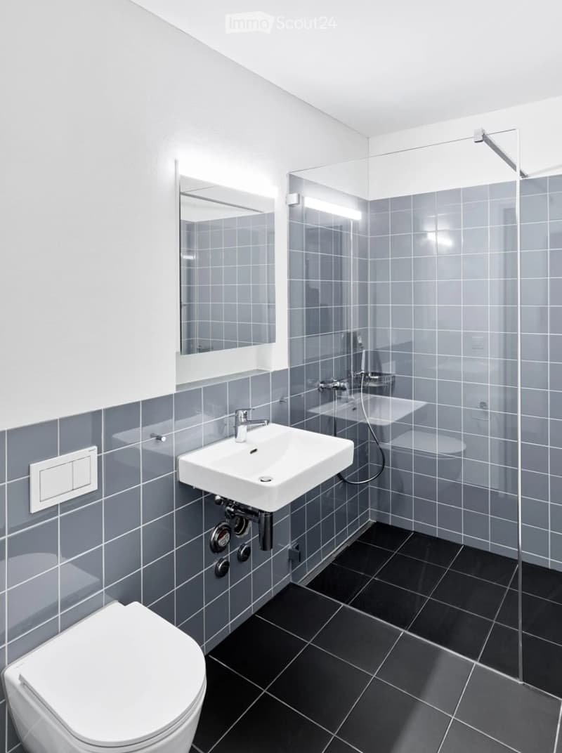 Modern bathroom with grey tiled walls, black tiled floor, white sink, toilet, and glass-enclosed shower area.