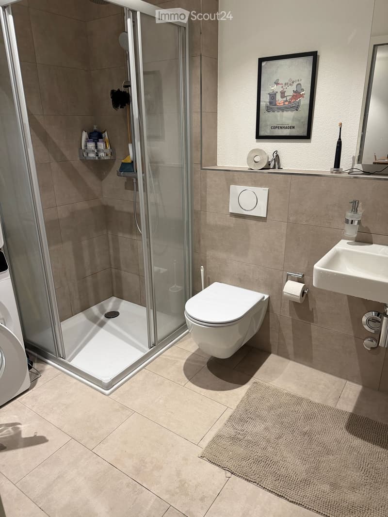Modern bathroom with a white toilet, sink, and glass-enclosed shower. Includes a framed picture, toothbrush, toilet paper, and a small bathroom rug.