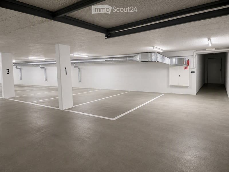 {"visible_features": ["Garage"], "type": "Garage", "objects": [], "description": "Underground parking garage with marked parking spaces, white pillars, and industrial lighting.", "localized_descriptions": {"EN": "Underground parking garage with marked par
