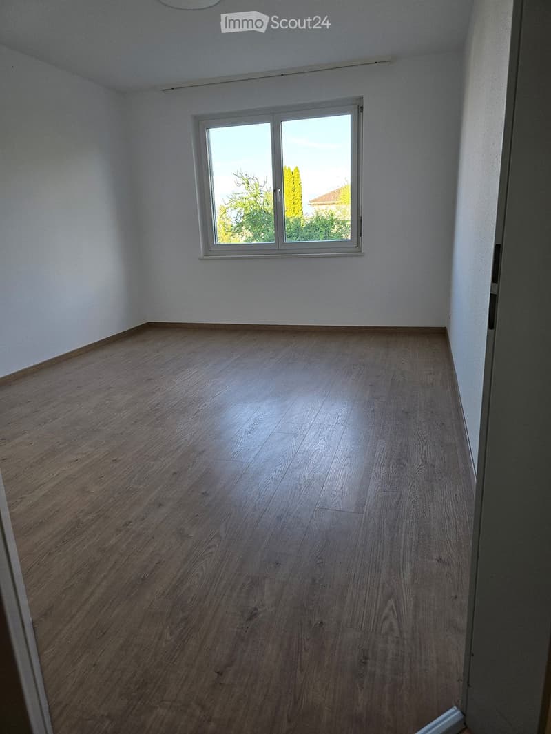 Empty room with wooden flooring and white walls, featuring a large window with white frame and view of greenery outside.