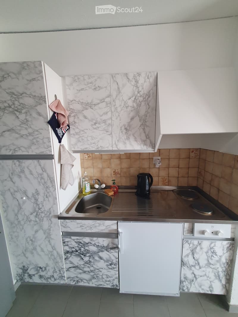 Modern kitchen with marble-patterned cabinets, stainless steel sink, electric kettle, and various cleaning supplies on the counter.