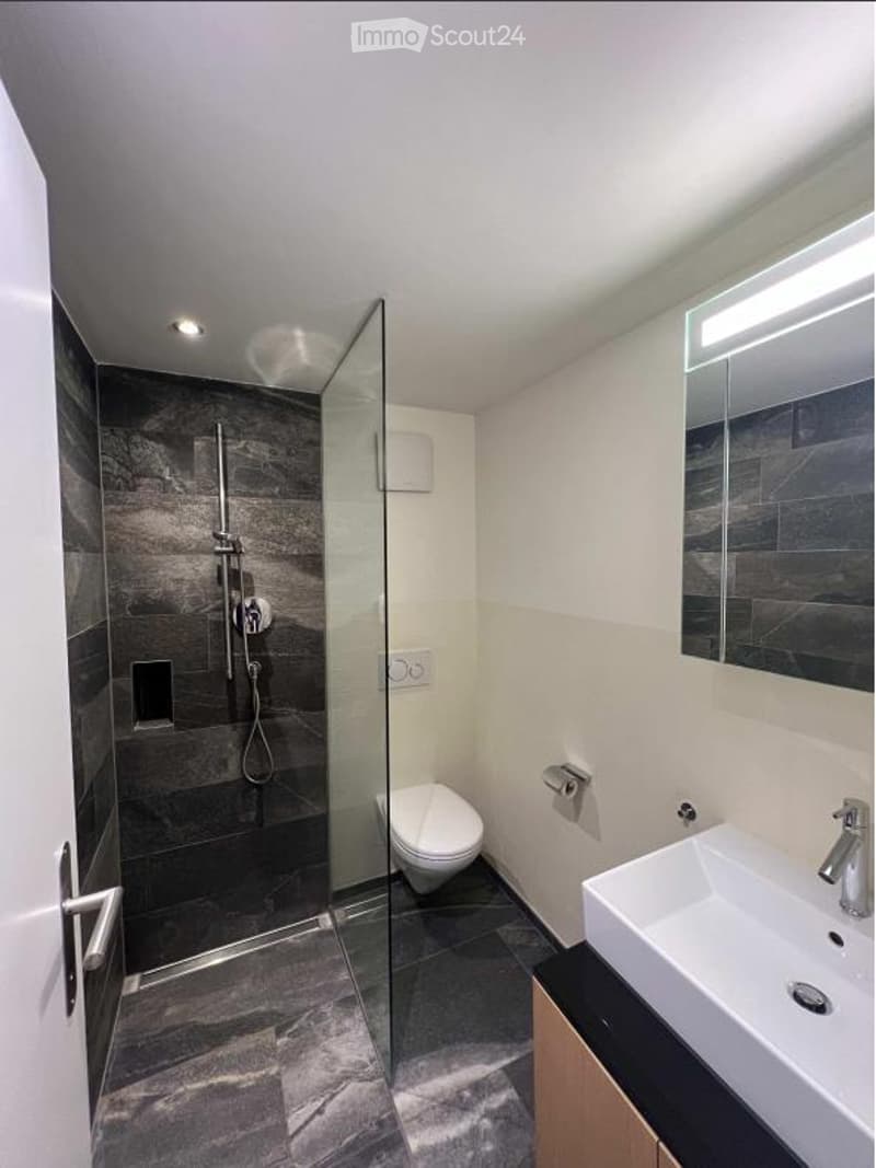 Modern bathroom with a glass-enclosed shower, toilet, sink, and mirror. The walls are tiled in dark grey, and the floor is made of dark stone tiles.