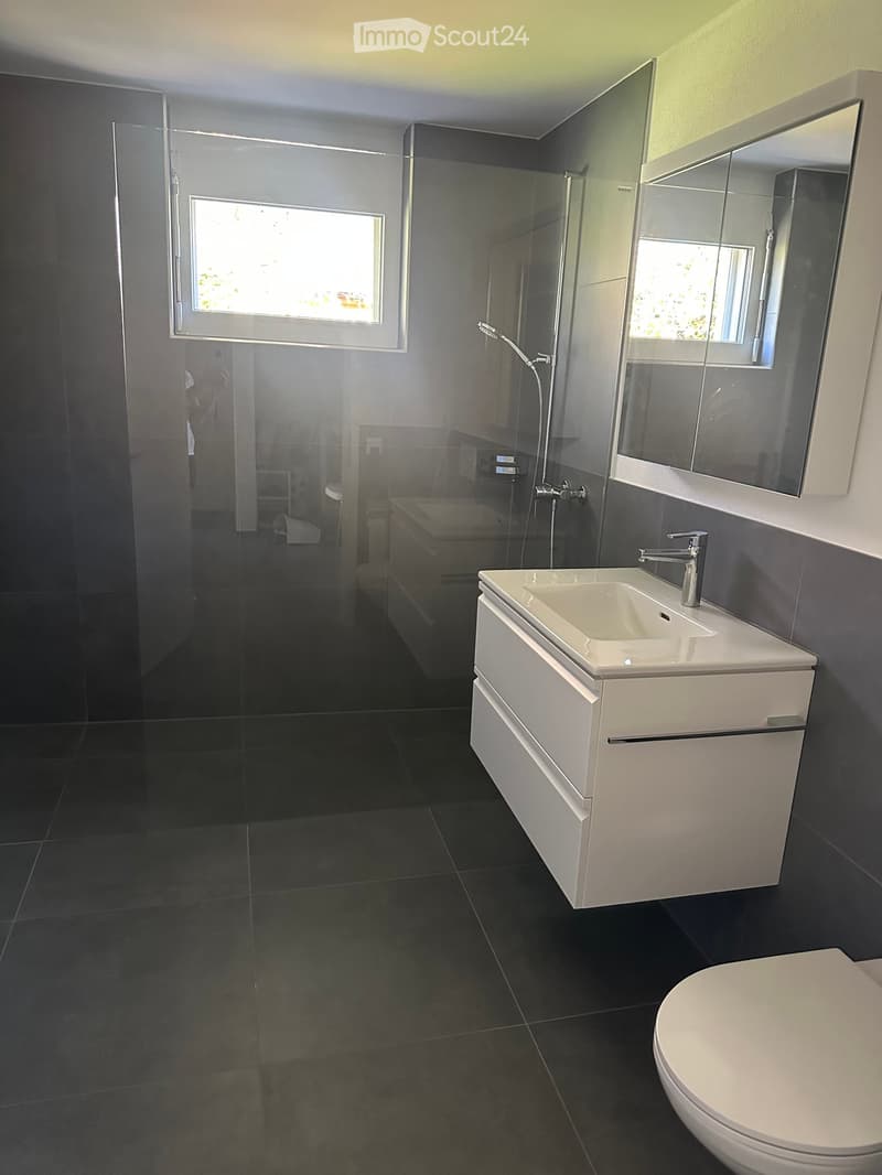 Modern bathroom with dark tiled walls and floor, white sink with faucet, large mirror, toilet, and bathtub visible through glass shower enclosure.