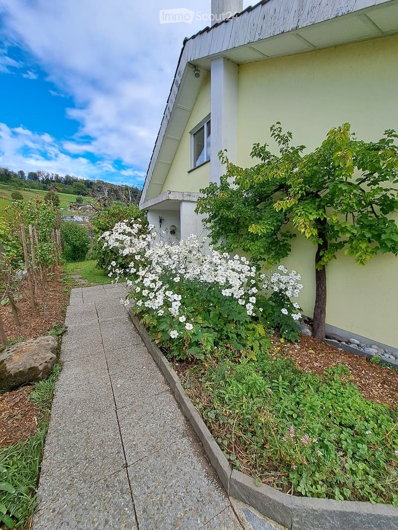 Garden path leading to a house with white flowers and greenery, surrounded by a stone wall and a gravel pathway.