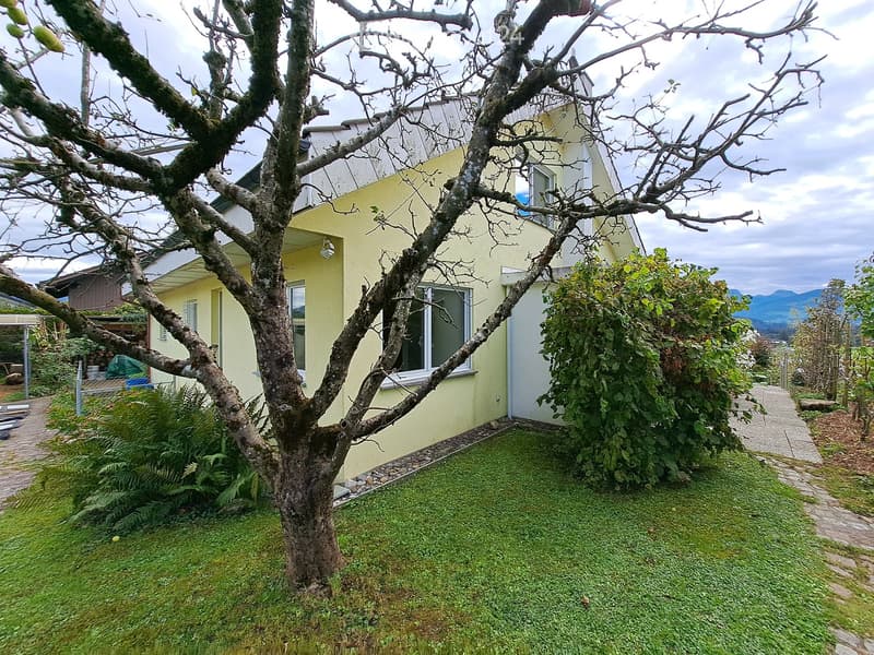 A small garden area with a tree, grass, and a pathway leading to a yellow house with white trim and multiple windows.