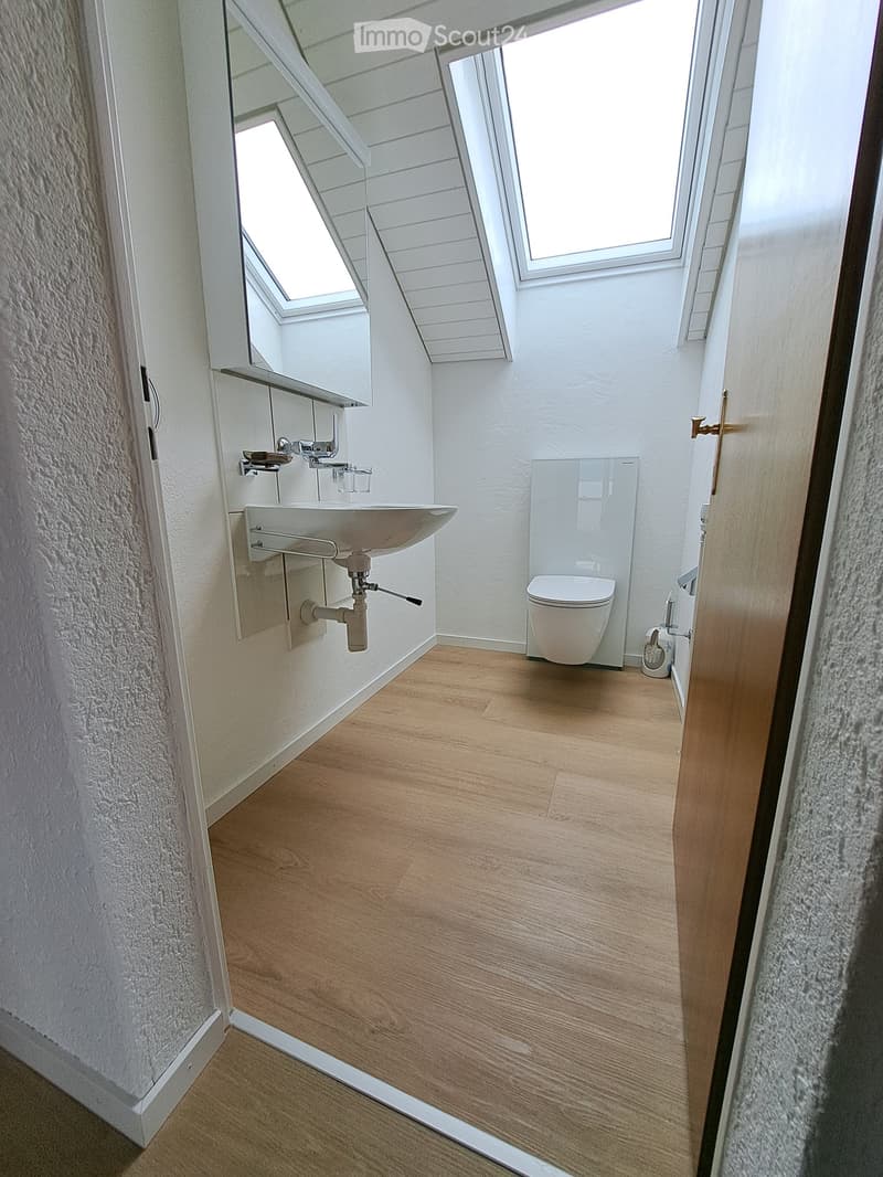 Modern bathroom with wooden flooring, white walls, a sink with a mirror, and a toilet. Skylight windows provide natural light.