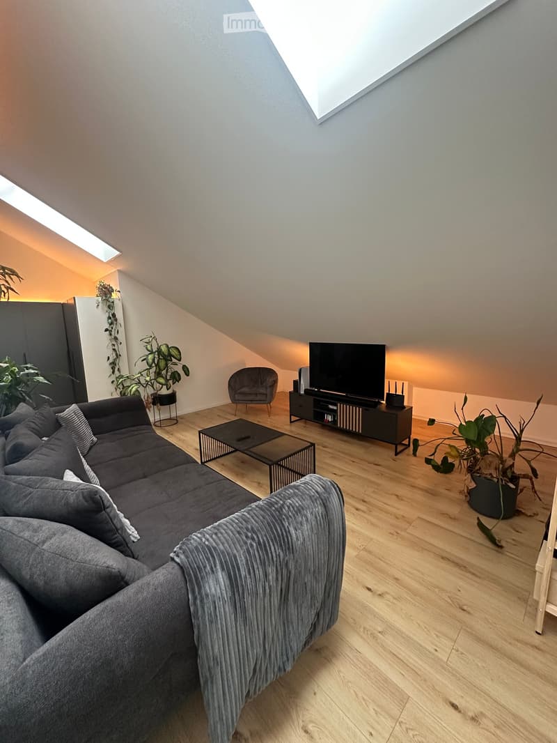 Modern living room with wooden flooring, grey sectional sofa, coffee table, armchair, TV stand, and plants.