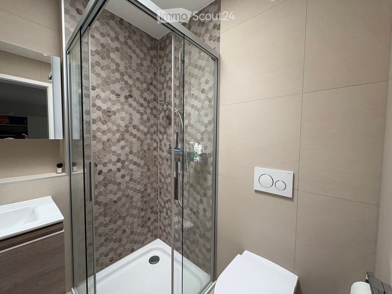 Modern bathroom with a glass-enclosed shower, hexagonal tile walls, a white sink, a toilet, and a mirror with shelves.
