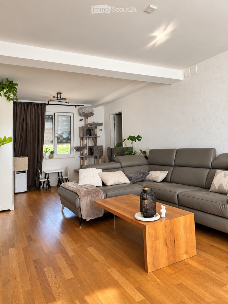 Modern living room with a grey sectional sofa, wooden coffee table, cat tree, and decorative items. The room features wooden flooring, large windows with blinds, and a cozy atmosphere.