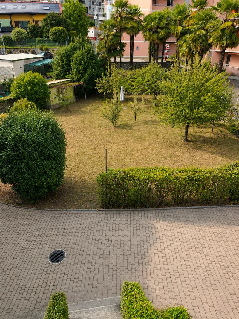Garden area with a mix of green bushes, small trees, and a paved brick walkway. There is a small shed and a closed umbrella in the background, with surrounding buildings and palm trees visible.