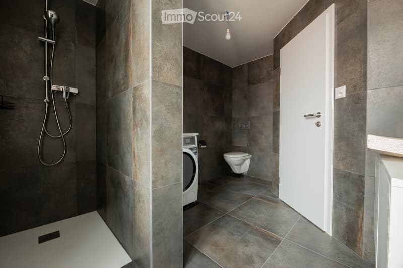 Modern bathroom with a separate shower area and a toilet compartment. Features include a dark tiled shower wall, a white washing machine, and a sleek, contemporary design.