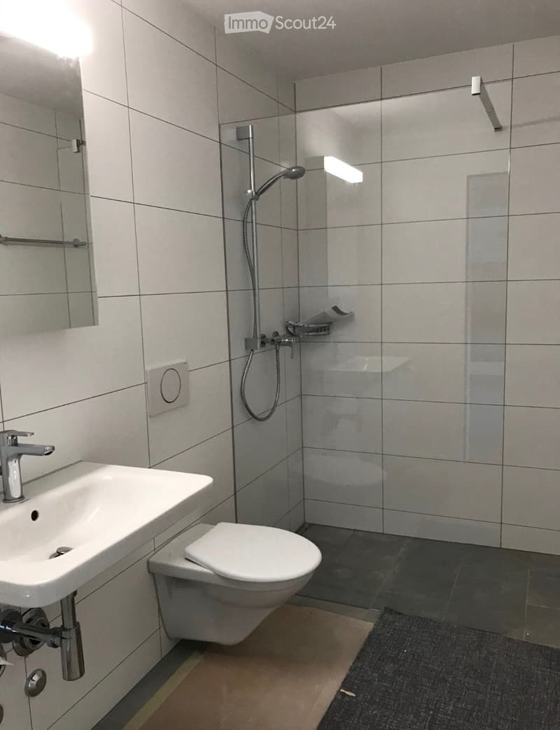 Modern bathroom with white tiles, a sink with a chrome faucet, a toilet, a shower with a handheld showerhead, and a mirror on the wall.