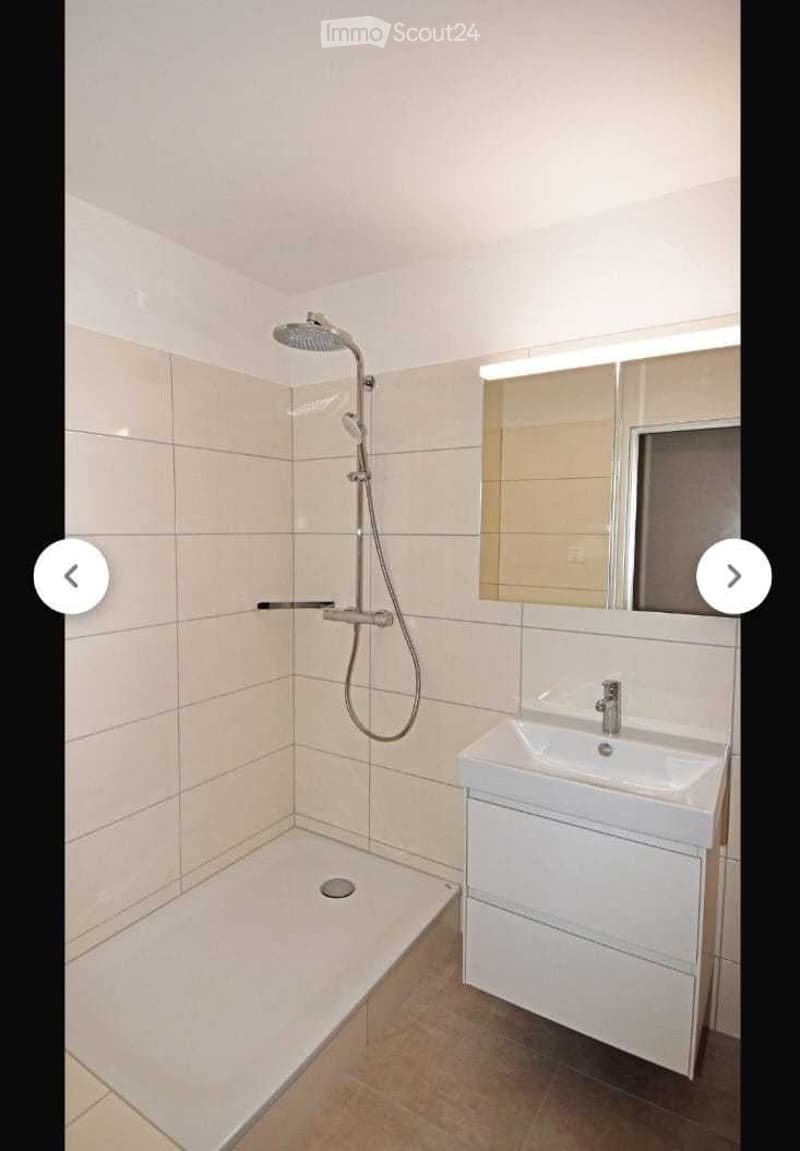 Modern bathroom with a walk-in shower, a white sink with a cabinet, and a large mirror above it.