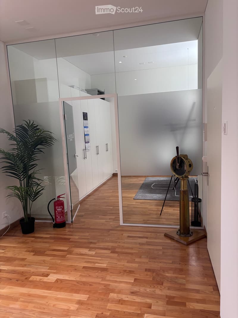 A corridor with a glass wall, wooden floor, and a fire extinguisher. There is a potted plant on the left, a rug on the floor, a tripod with a telescope on the right, and a door at the end.