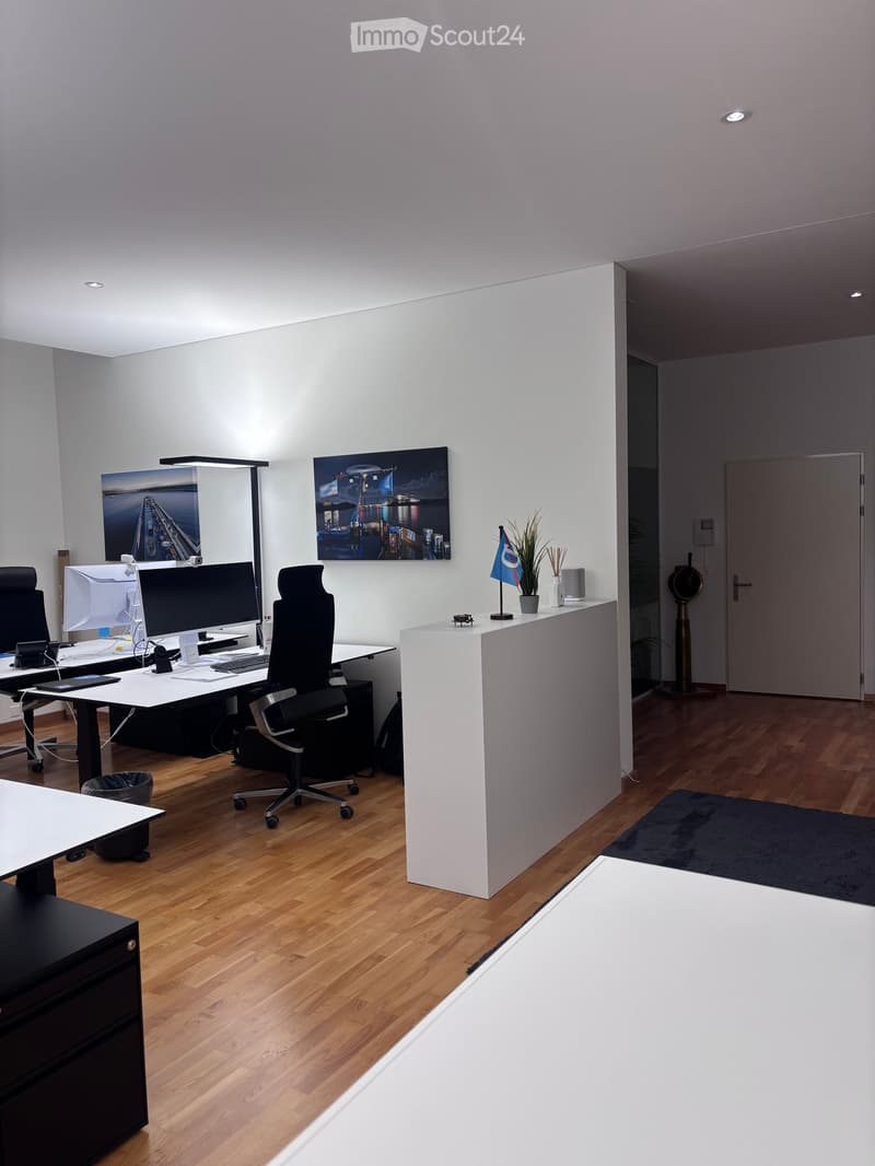 Modern office with white walls, wooden floors, and two desks. Each desk has a computer monitor, keyboard, and mouse. A flag, plant, and candles are on a white shelf. A trash can and cabinet are nearby. A rug is on the floor.