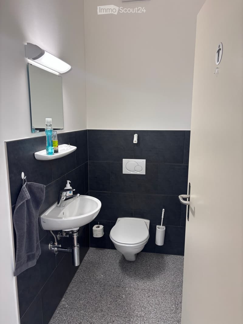 Modern bathroom with white sink, black tiles, and white toilet. A mirror and towel are on the left, and a toilet paper holder and brush are on the right.