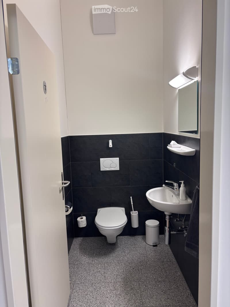 Modern bathroom with white and black tiles, a toilet, sink, and mirror. The sink has a faucet and soap dispenser. A towel is hanging on the towel rack.