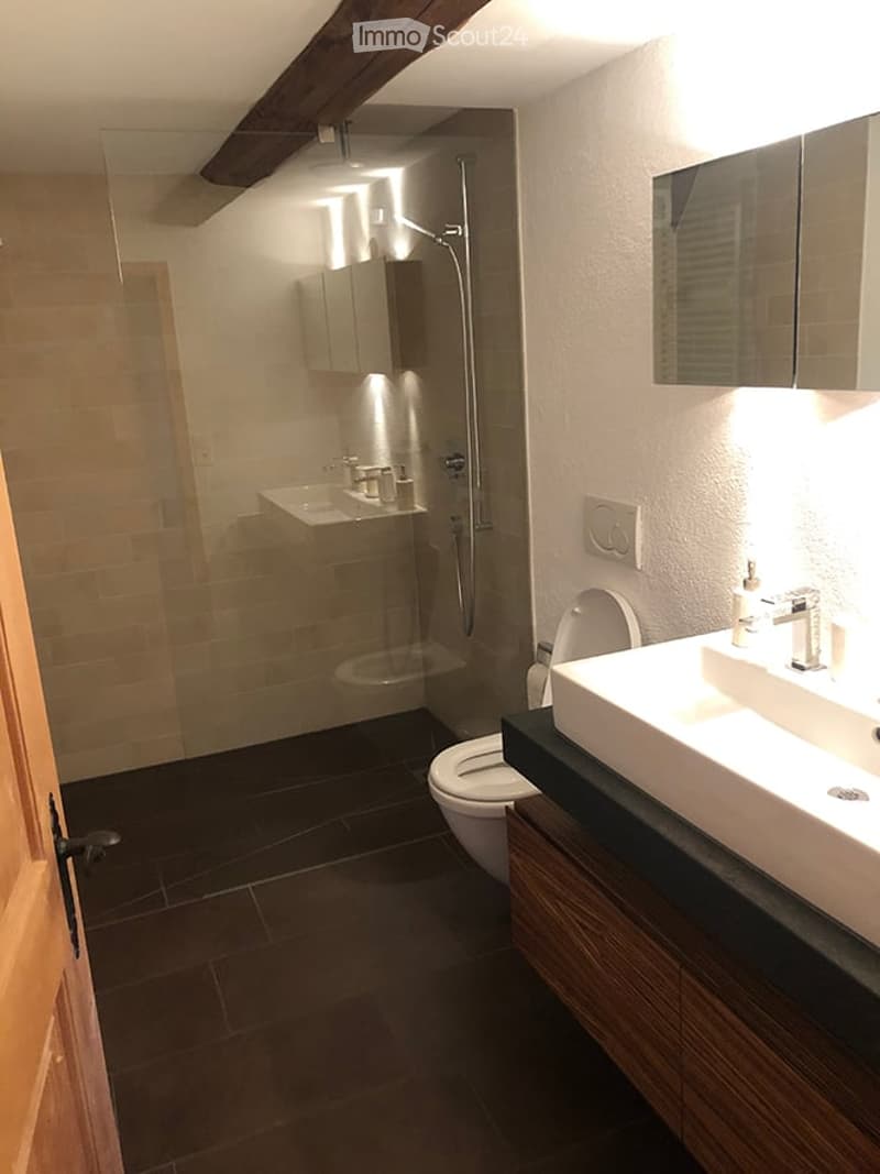 Modern bathroom with dark tiled floor, white walls, a toilet, a sink with a modern faucet, a large mirror, and a glass-enclosed shower area.