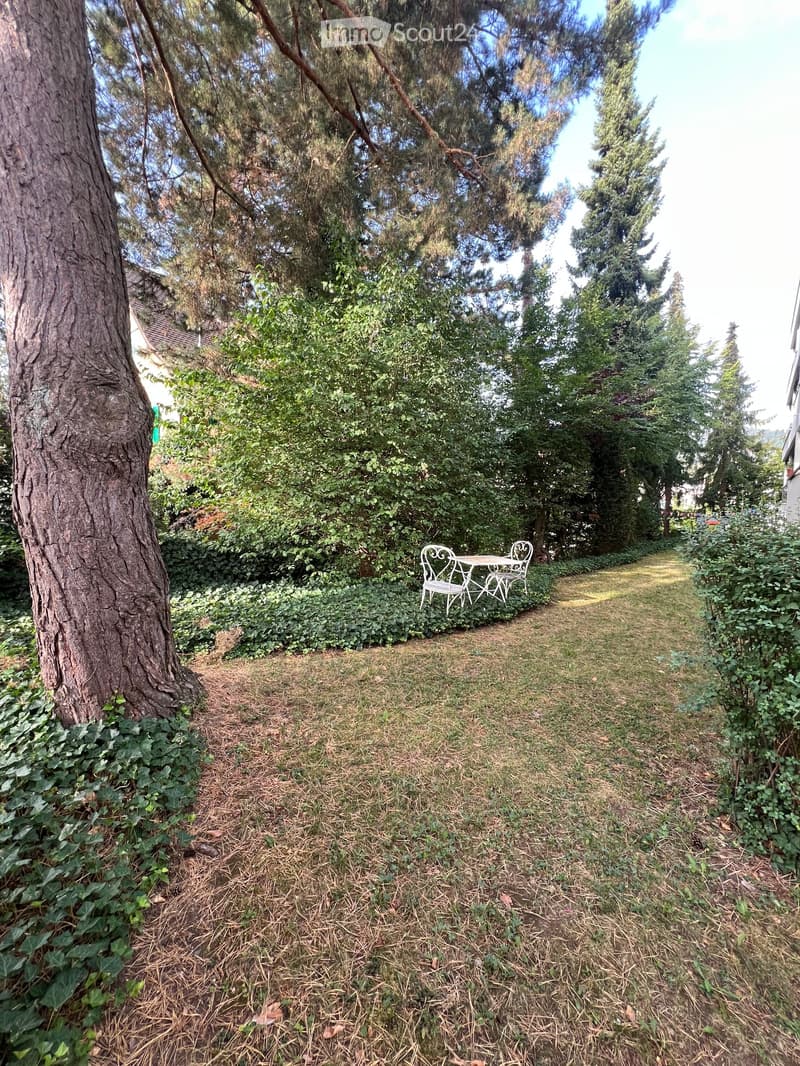 A grassy outdoor area with a small table and chairs, surrounded by trees and bushes.