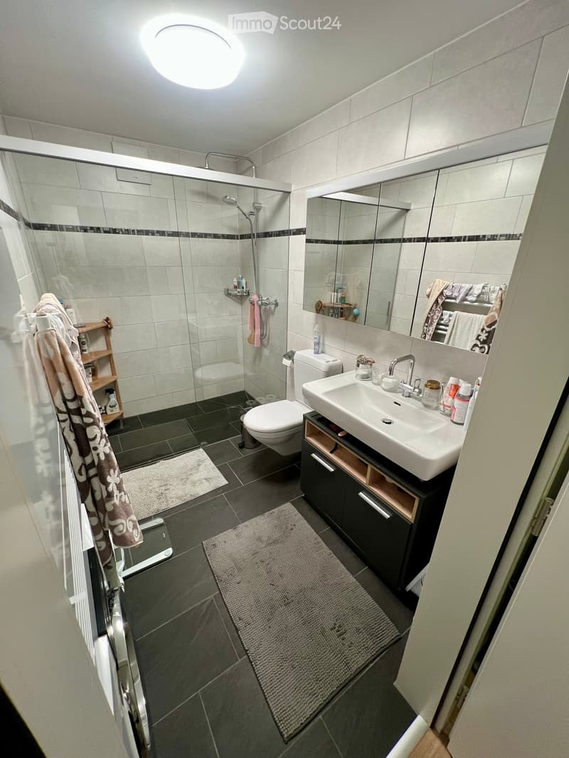 Modern bathroom with a glass-enclosed shower, toilet, sink with mirror, and dark tiled floor. Includes a towel rack, small wooden shelf, and a grey bath mat.