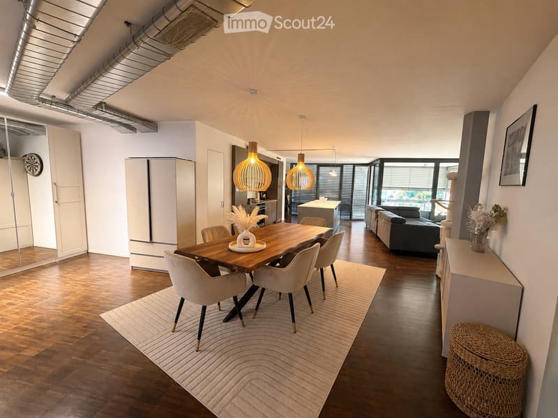 Loft in Uster (1)