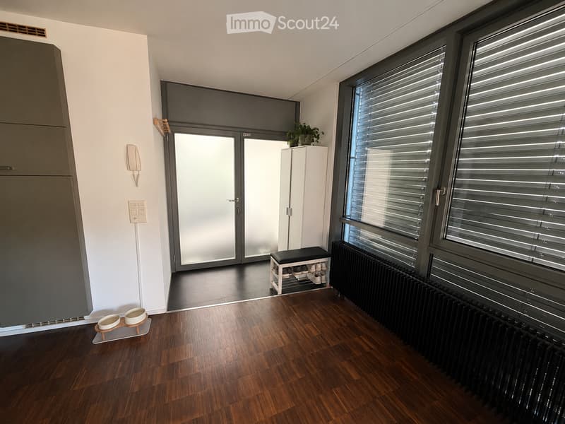 Modern hallway with wooden flooring, large windows with blinds, shoe rack, radiator, plant, and pet bowl.