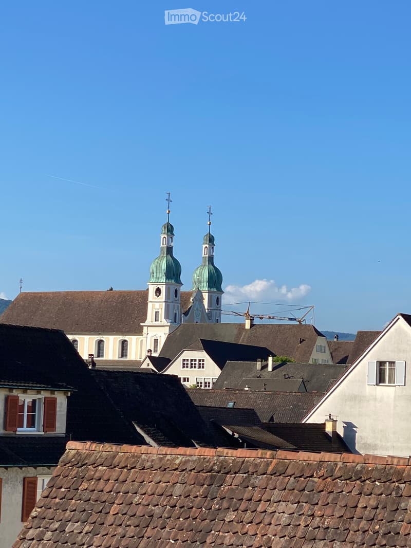 Roof tops of buildings with a prominent church featuring green domes and spires in the background.
