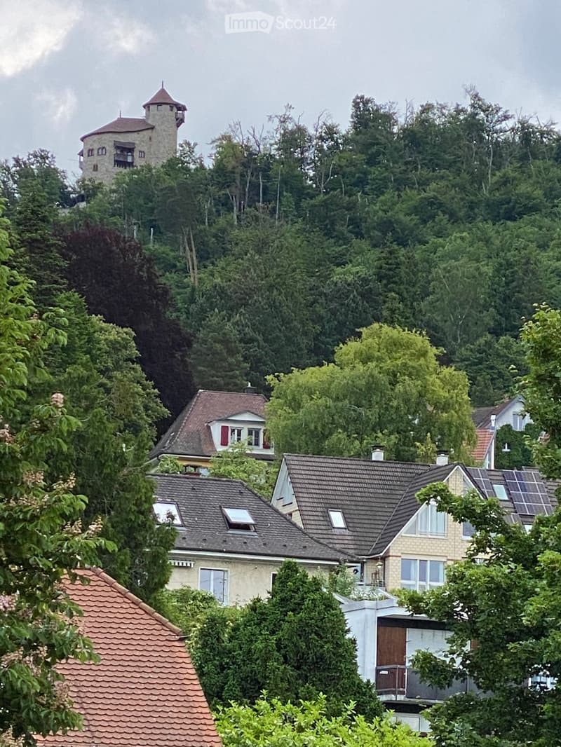 Residential houses with pitched roofs, surrounded by lush green trees and a distant castle-like structure on a hill.