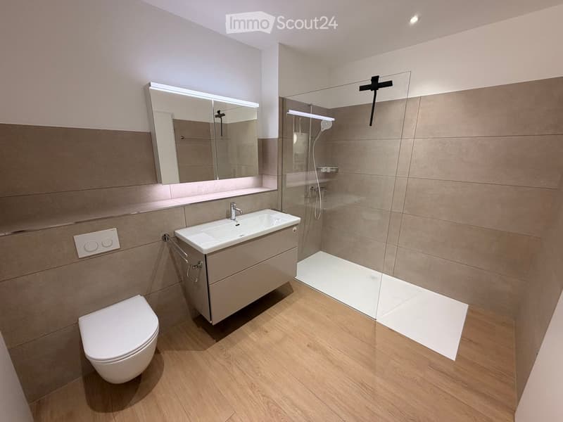 Modern bathroom with a white toilet, sink with a modern faucet, large mirror, and a glass-enclosed shower area.
