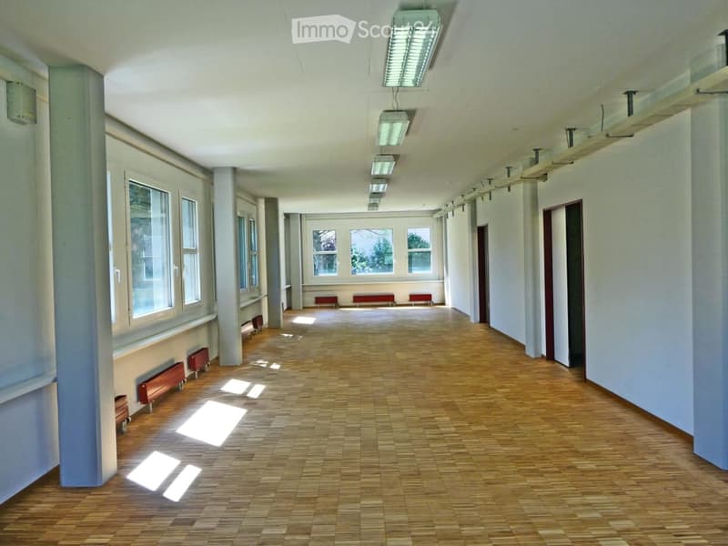 Empty hallway with wooden flooring, white walls, and large windows at the end. Minimalist design with no furniture.