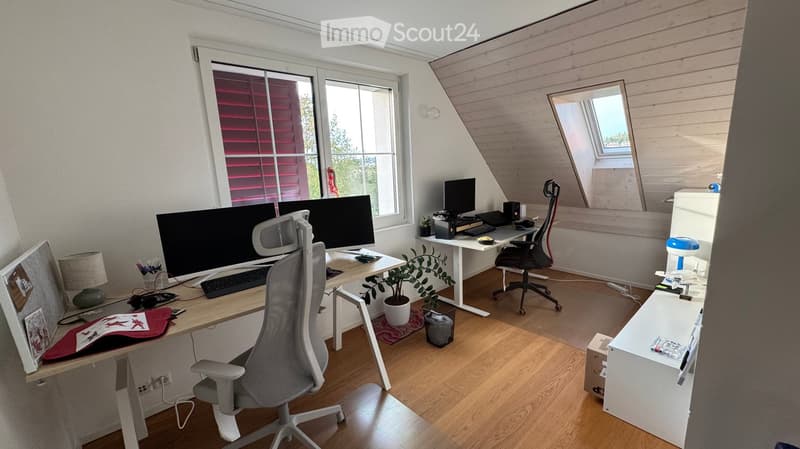 A modern, well-lit home office with wooden flooring, large windows, and multiple desks equipped with computer monitors, keyboards, and ergonomic chairs. The space includes a potted plant, a mirror, and a small cabinet.