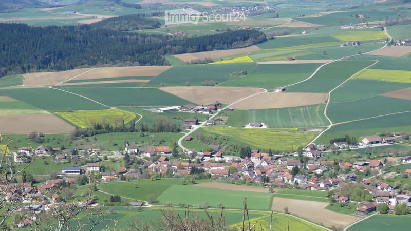 Aerial view of a rural village surrounded by green fields and forests, with scattered houses and farms.
