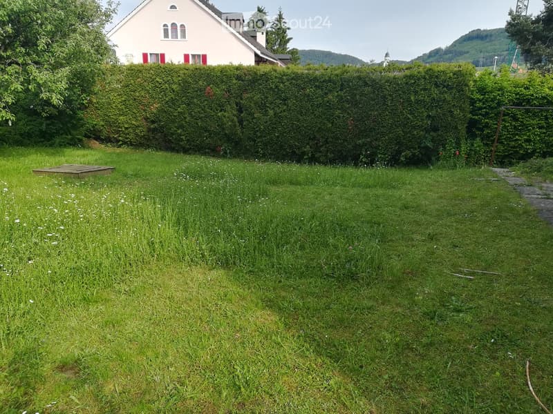 Lush green garden with a neatly trimmed hedge, a wooden platform, and a house with red shutters in the background.