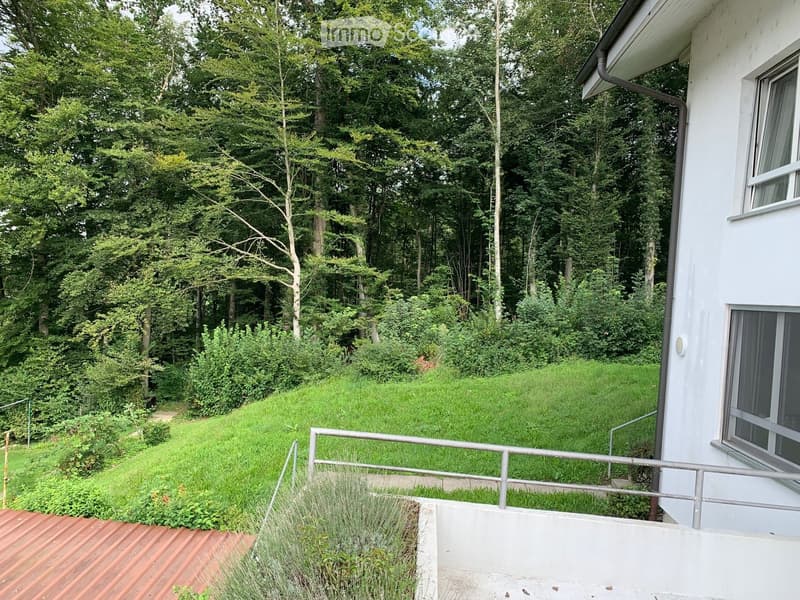 A raised garden area with a wooden deck, metal railing, and lush greenery, including tall trees and shrubs, adjacent to a white building.