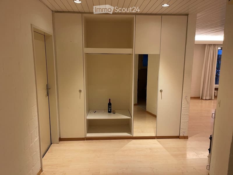 Empty hallway with light-colored walls, wooden flooring, and built-in closet with mirrored doors. A small shelf inside the closet holds a bottle and some papers.