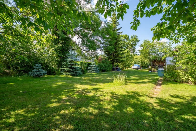 A well-maintained garden with a lush green lawn, surrounded by trees and shrubs, with a clear blue sky overhead.