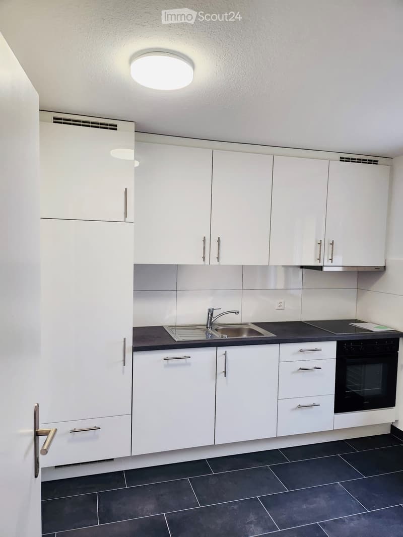 Modern kitchen with white cabinets, stainless steel sink, and built-in oven. Dark tiled floor and countertop.