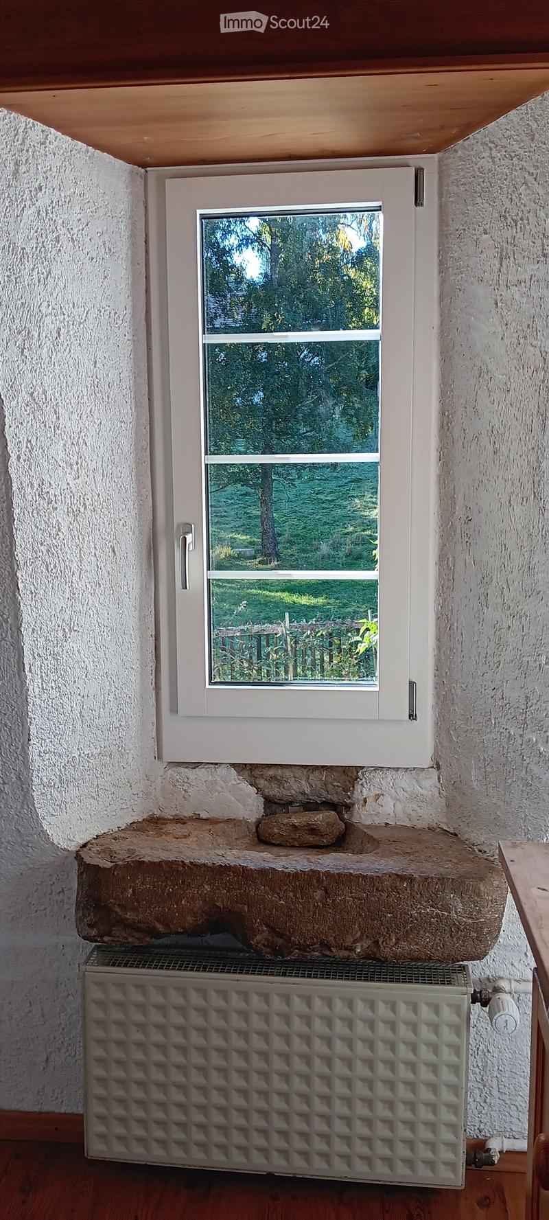 A hallway with a window showing a green outdoor view, a stone fireplace mantel above a radiator, and wooden flooring.