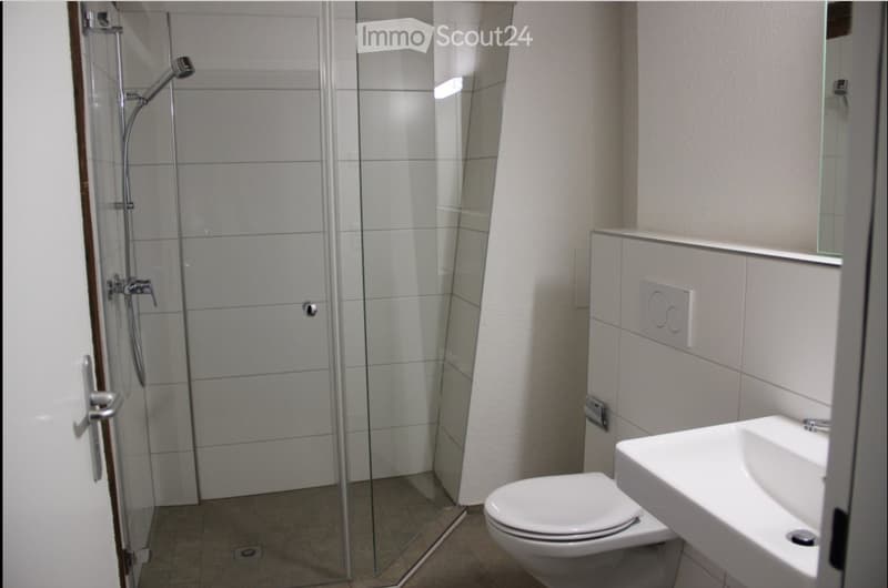 Modern bathroom with a glass-enclosed shower, toilet, and sink. The shower features a handheld sprayer and a fixed overhead sprayer. The sink has a modern faucet and is mounted on a countertop.