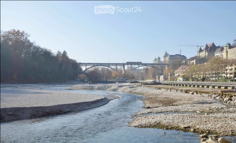 Riverbank with gravel bars, a bridge in the background, and trees lining the riverbank.