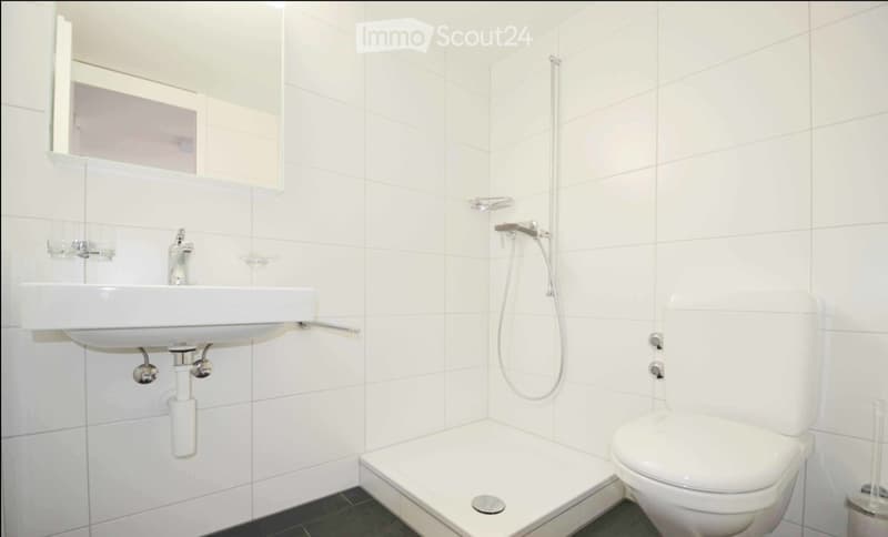 Modern bathroom with white tiles, a sink, toilet, and shower area. Features a built-in mirror and a glass shelf above the sink.