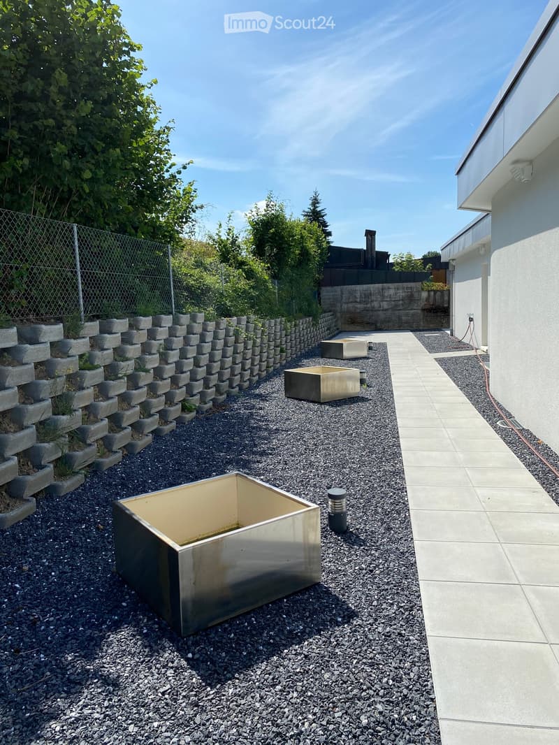 Modern garden area with gravel ground, concrete planters, and a raised concrete wall with small plants. A pathway leads to the building.