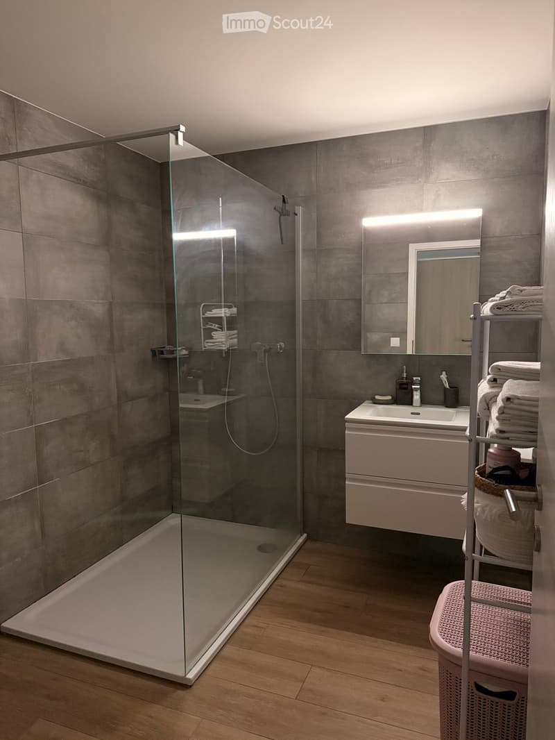 Modern bathroom with a glass-enclosed shower, a white sink with a built-in cabinet, a large mirror with built-in lighting, and a towel rack with neatly folded towels.